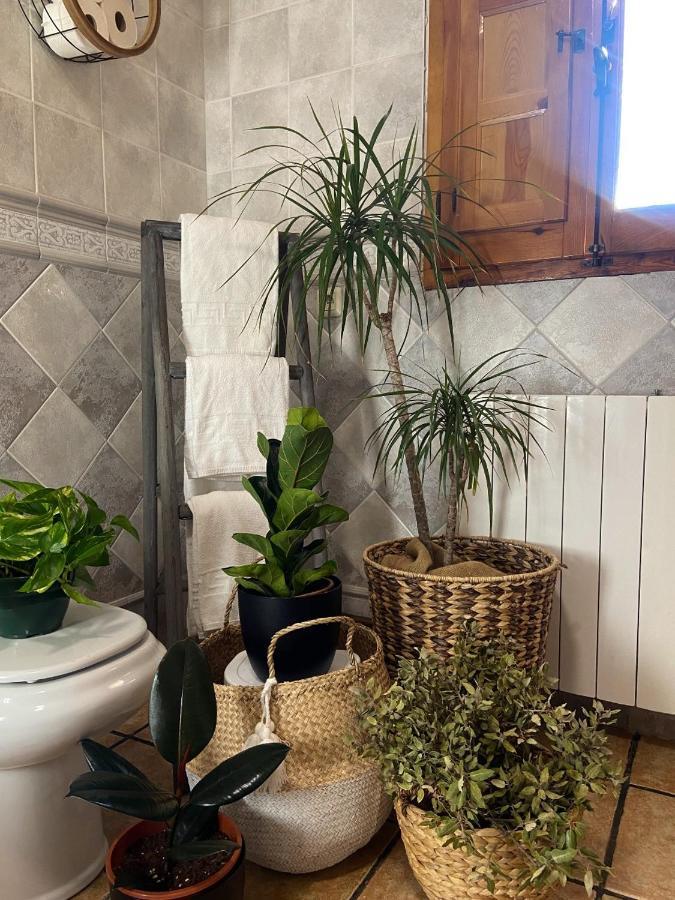 Esse Natura Alojamientos & Lifestyle Pozohondo Екстериор снимка